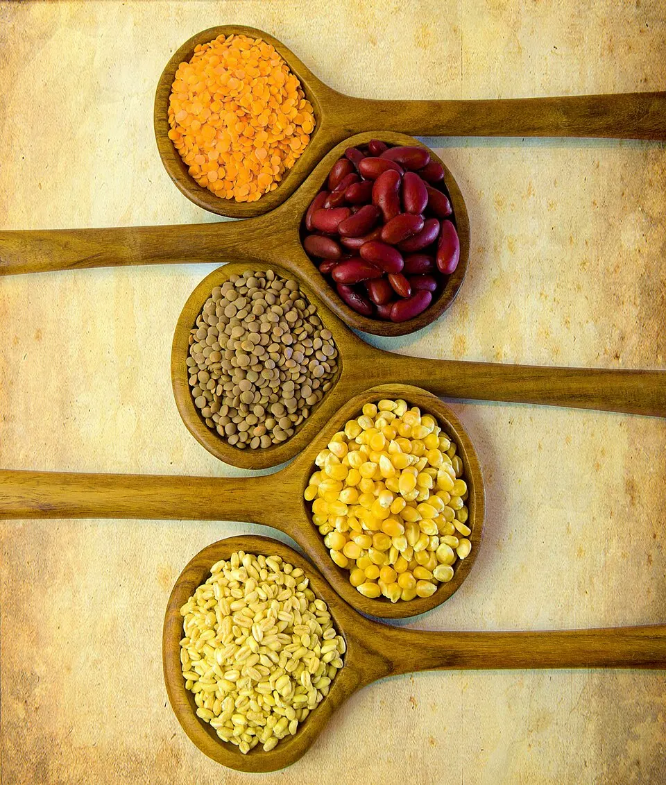 Red lentils, kidney beans, and pulses in wooden spoons